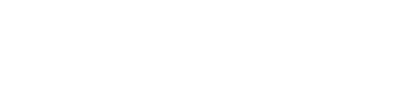NPAL logo