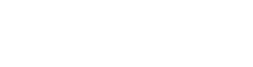 NPAL logo