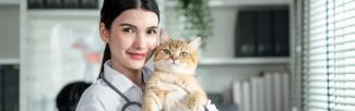 Woman vet holding an orange tabby cat